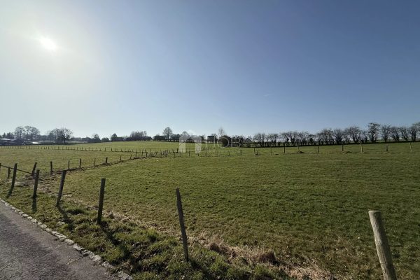Grundstück zum Verkauf in DEIDENBERG