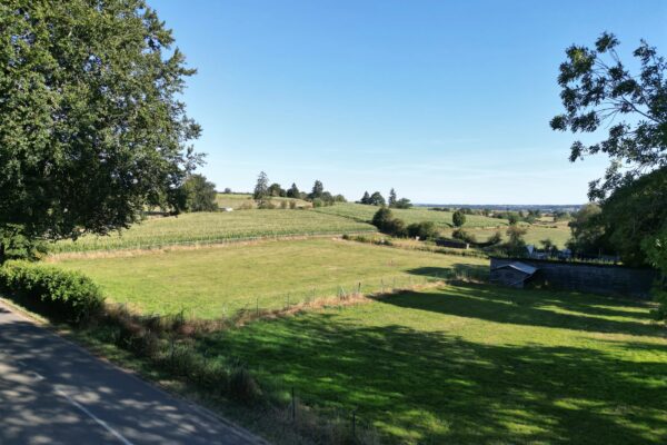 Terrain en vente à MEDELL
